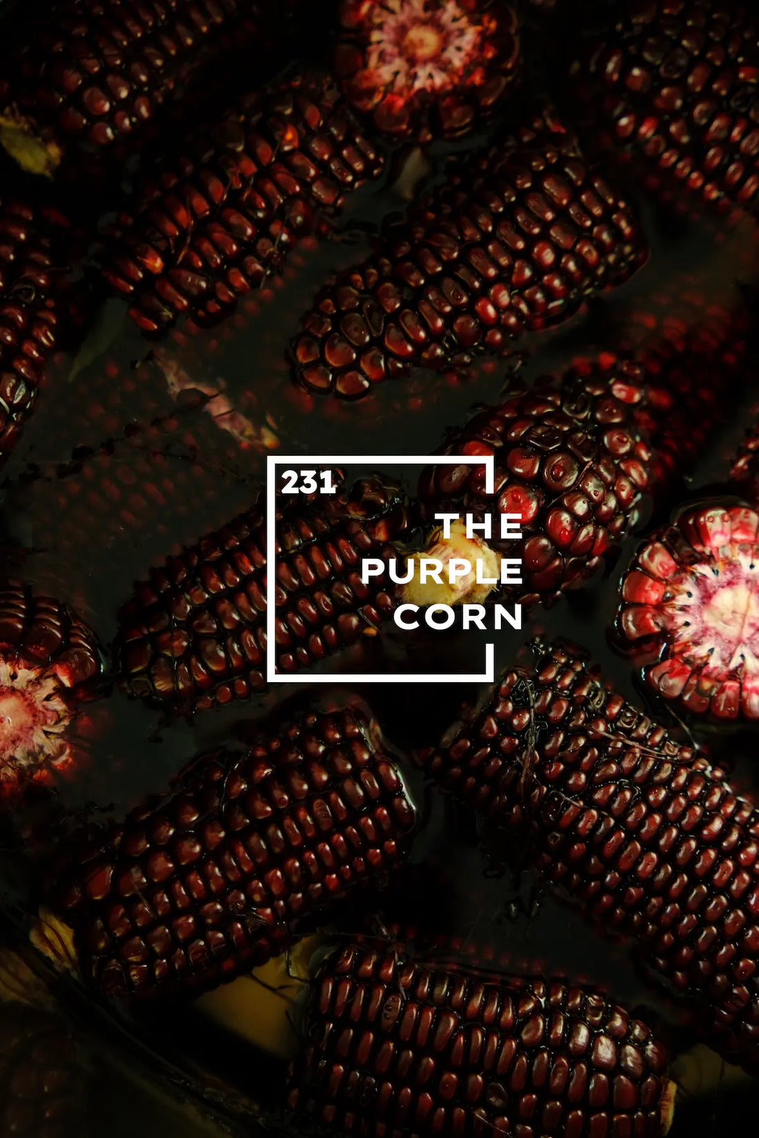 onecolours-fruit-purple-corn-natural-dyes-sn231