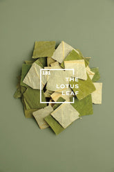 onecolours-herb-lotus-leaf-natural-dyes-sn181